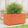 vidaXL Jardini&egrave;re cire marron 90x60x49,5 cm bois de pin massif