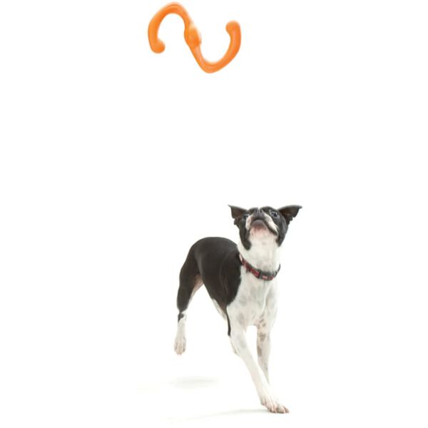 Zogoflex Jouet &agrave; m&acirc;cher pour chiens Bumi Taille L Orange 1947