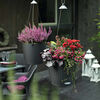 LECHUZA Jardini&egrave;re suspendue NIDO Cottage 28 ALL-IN-ONE Granite