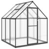 vidaXL Serre avec cadre de base anthracite 169x169x195 cm aluminium