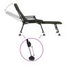 vidaXL Chaise longue de p&ecirc;che avec pieds &agrave; boue r&eacute;glables pliable vert