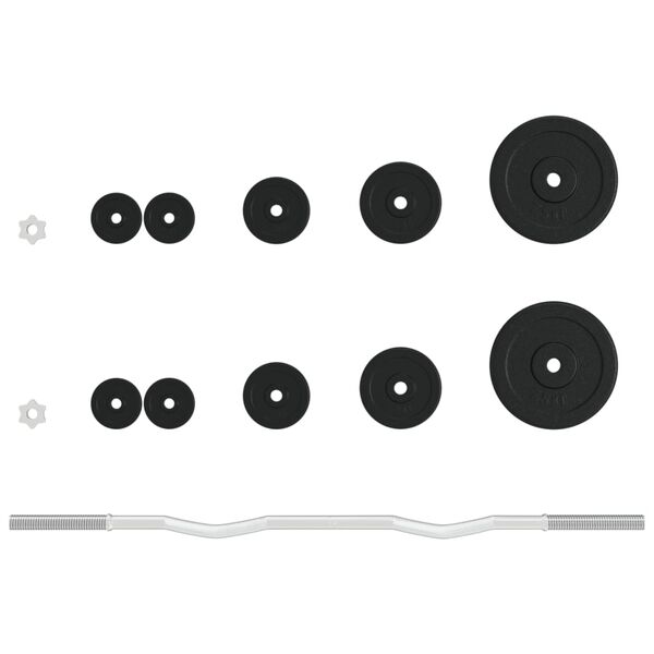 vidaXL Ensemble d'halt&egrave;res avec plaques 30 kg fonte et acier chrom&eacute;