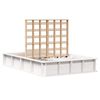 vidaXL Cadre de lit Blanc 120 x 200 cm Bois de pin massif