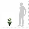 Vignette du produit 3 sur 3