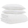 vidaXL Duvet d'hiver avec oreiller 3 pi&egrave;ces Blanc Plume de canard