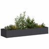 vidaXL Jardini&egrave;re noir 280x80x40 cm acier