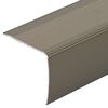 vidaXL Nez de marche 30 pcs Champagne 67 x 3 x 2 cm Aluminium