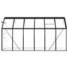 vidaXL Serre avec cadre de base Anthracite Aluminium 7,03 m&sup2;