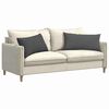 vidaXL Coussins de canap&eacute; 2 pcs Gris fonc&eacute; 80 x 40 cm