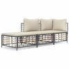 vidaXL Salon de jardin 3 pcs avec coussins anthracite r&eacute;sine tress&eacute;e