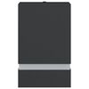 vidaXL Appliques murales d'ext&eacute;rieur 2 pcs noir acier inoxydable