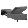 vidaXL Canap&eacute;-lit escamotable Gris fonc&eacute; 194 x 67 x 82 cm Microfibre