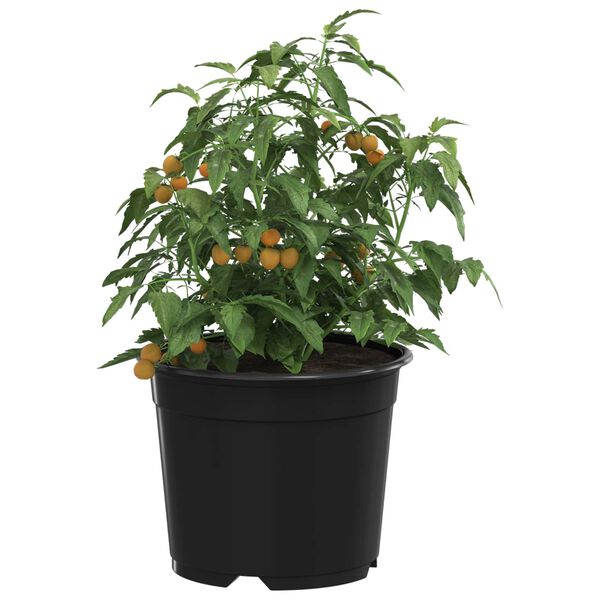 vidaXL Pot &agrave; fleurs 50 pcs Noir &Oslash; 15 x 12,5 cm Plastique