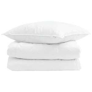 vidaXL Duvet d'&eacute;t&eacute; simple avec oreiller 2 pc Blanc Plume de canard