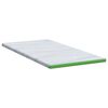 vidaXL Surmatelas Blanc et vert 180 x 200 x 6 cm Tissu Jacquard