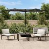 vidaXL Parasol de jardin &agrave; double t&ecirc;te anthracite 316x145 cm