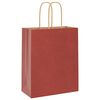 vidaXL Sacs en papier 50 pcs avec poign&eacute;es rouge 18x8x22 cm
