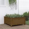 vidaXL Jardini&egrave;re marron miel 82,5x82,5x39 cm bois massif de pin