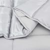 vidaXL Duvet d'hiver Argent&eacute; 220 x 260 cm Satin et Microfibre