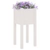 vidaXL Jardini&egrave;res d'ext&eacute;rieur 2 pcs Blanc 31x31x70 cm Bois de pin