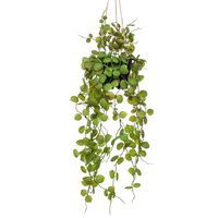 Emerald Plante artificielle suspendue Ceropegia 50 cm en pot