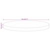 vidaXL Dessus de table &Oslash; 40x3,8 cm rond bois massif de manguier brut