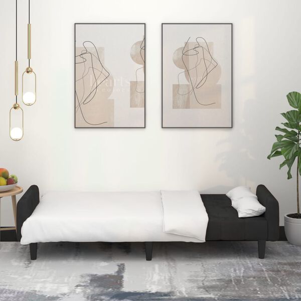 vidaXL Canap&eacute;-lit &agrave; 2 places Noir Velours