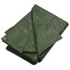 vidaXL B&acirc;che 180 g/m&sup2; 4x4 m Vert PEHD