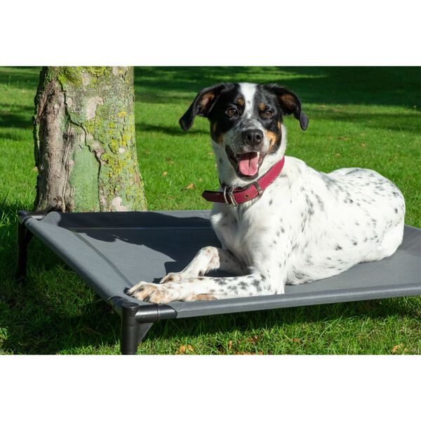 dobar Salon d'ext&eacute;rieur pour chiens avec parasol anthracite
