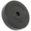 vidaXL Plaques de poids 6 pcs 30 kg B&eacute;ton
