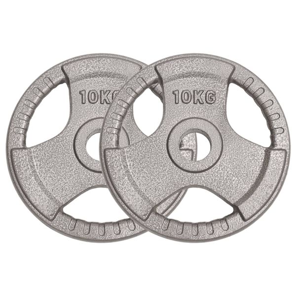 vidaXL Plaques de poids olympiques 2 pcs 20 kg Fonte