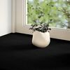Vignette du produit 3 sur 10
