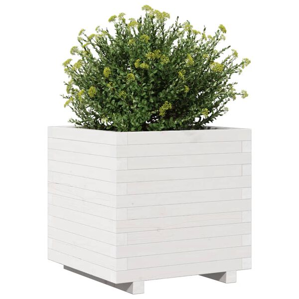 vidaXL Jardini&egrave;re blanc 50x50x49,5 cm bois de pin massif