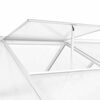 vidaXL Serre Aluminium 421x190x195 cm 15,6 m&sup3;