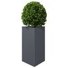 vidaXL Jardini&egrave;re anthracite triangulaire 50x43x75 cm acier