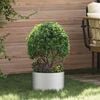 vidaXL Cache-pot de jardin Argent 30 x 30 x 20 cm Acier galvanisé