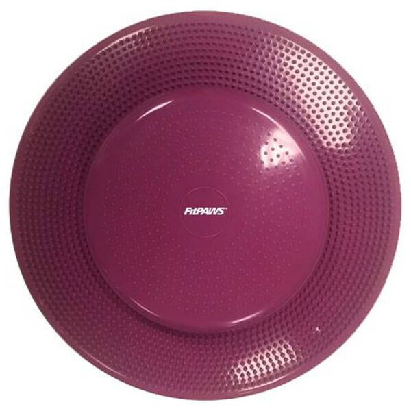 FitPAWS Disque d'&eacute;quilibre pour animaux de compagnie 56 cm