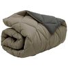 vidaXL Duvet d'hiver Gris clair et anthracite 200 x 155 cm Microfibre