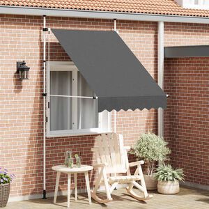 vidaXL Auvent manuel r&eacute;tractable 150 cm Anthracite