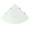 vidaXL &Eacute;tag&egrave;res d'angle 2 pcs et supports chrom&eacute;s Verre Blanc 45x45 cm