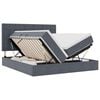 vidaXL Lit avec bandes LED Gris fonc&eacute; 200 x 200 cm Velours