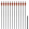 vidaXL Fl&egrave;che d'arc recourb&eacute; standard 12 pcs 30" 0,76 cm carbone