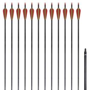 vidaXL Fl&egrave;che d'arc recourb&eacute; standard 12 pcs 30" 0,76 cm carbone