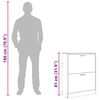 vidaXL Meuble &agrave; chaussures en bois avec 2 compartiments Blanc