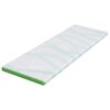 vidaXL Coussins de Matelas Blanc et vert 70 x 200 cm
