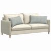 vidaXL Coussins de canap&eacute; 2 pcs Gris clair 80 x 40 cm