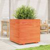 vidaXL Jardini&egrave;re cire marron 70x70x72 cm bois de pin massif