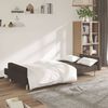 vidaXL Canap&eacute;-lit &agrave; 2 places Marron fonc&eacute; Tissu
