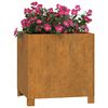 vidaXL Jardini&egrave;re avec pieds Rouill&eacute; 40x40x40 cm Acier corten