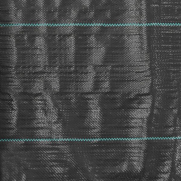 vidaXL Toile de paillage PP 2 x 10 m Noir